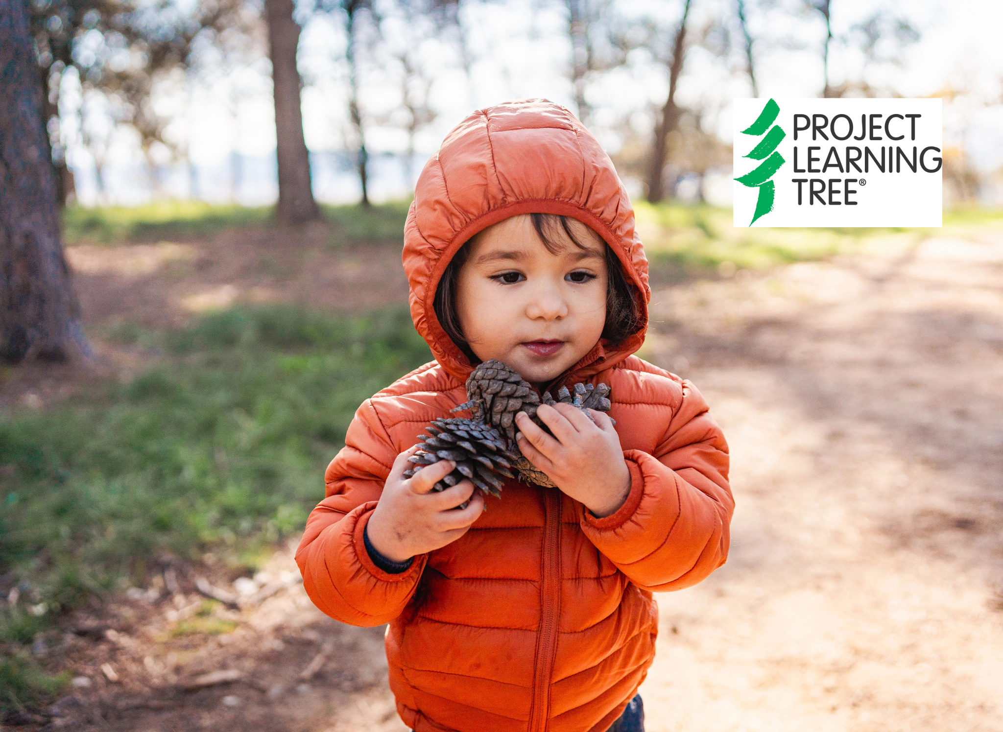 young child with armful of pinecones 